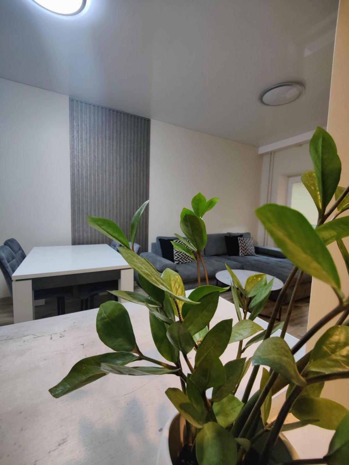 V15 Apartment Druskininkai Eksteriør bilde